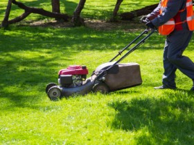 Lawn Mower